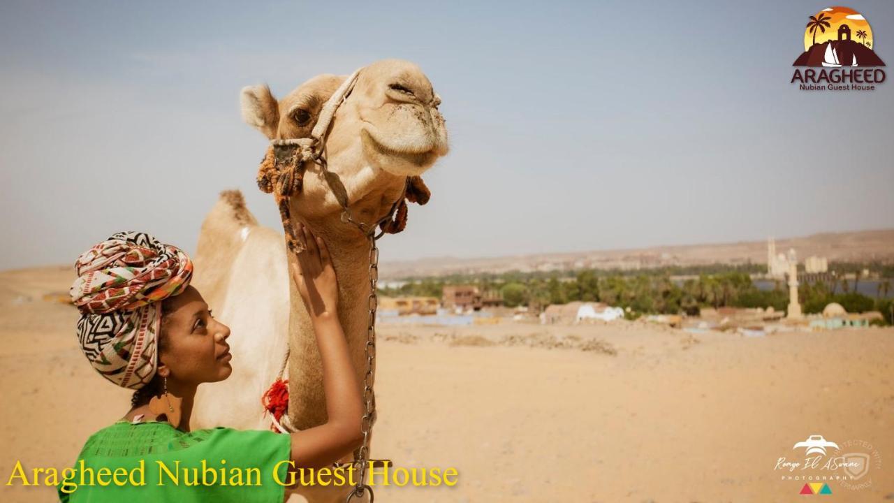 Nubian Kingdom Aragheed House Apartamento Assuão Exterior foto