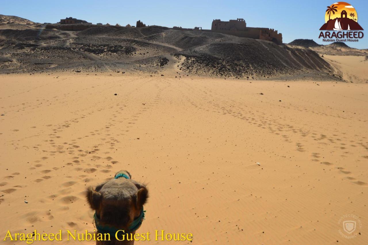 Nubian Kingdom Aragheed House Apartamento Assuão Exterior foto